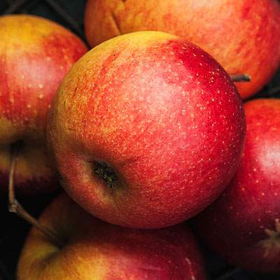 Äpfel Rubinette