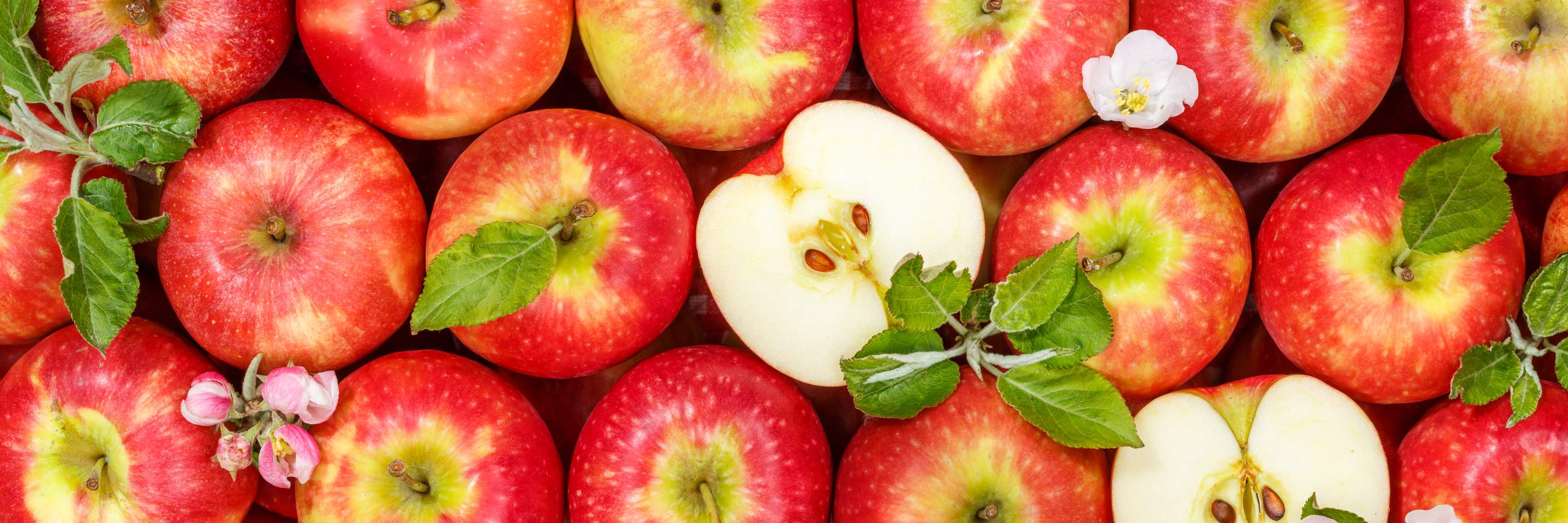 dirks-bio-kiste-slider-apfel-viele-l.jpg