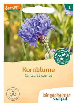 Kornblume (Saatgut)