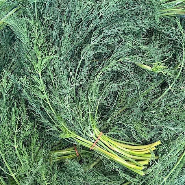 Dill Bund