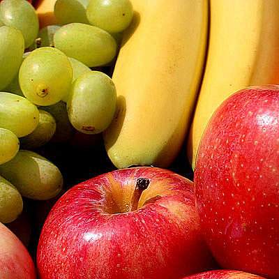 Firmen Obst Plus L