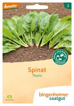 Spinat Thorin (Saatgut)