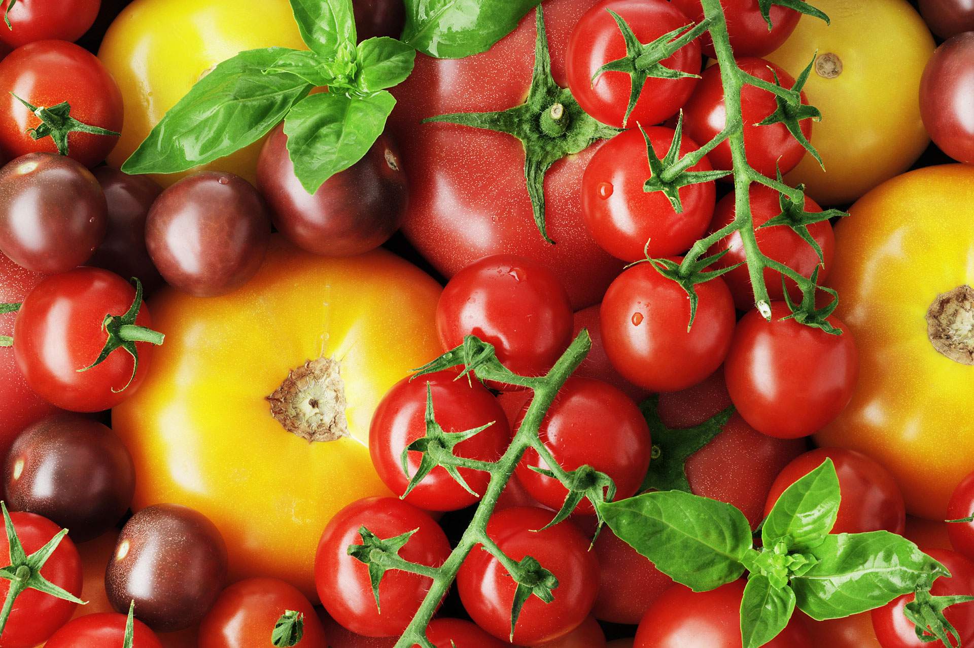 dirks-bio-kiste-slider-tomatenvielfalt-l.jpg