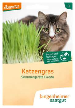 Katzengras (Saatgut)
