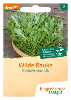 Wilde Rauke (Saatgut)