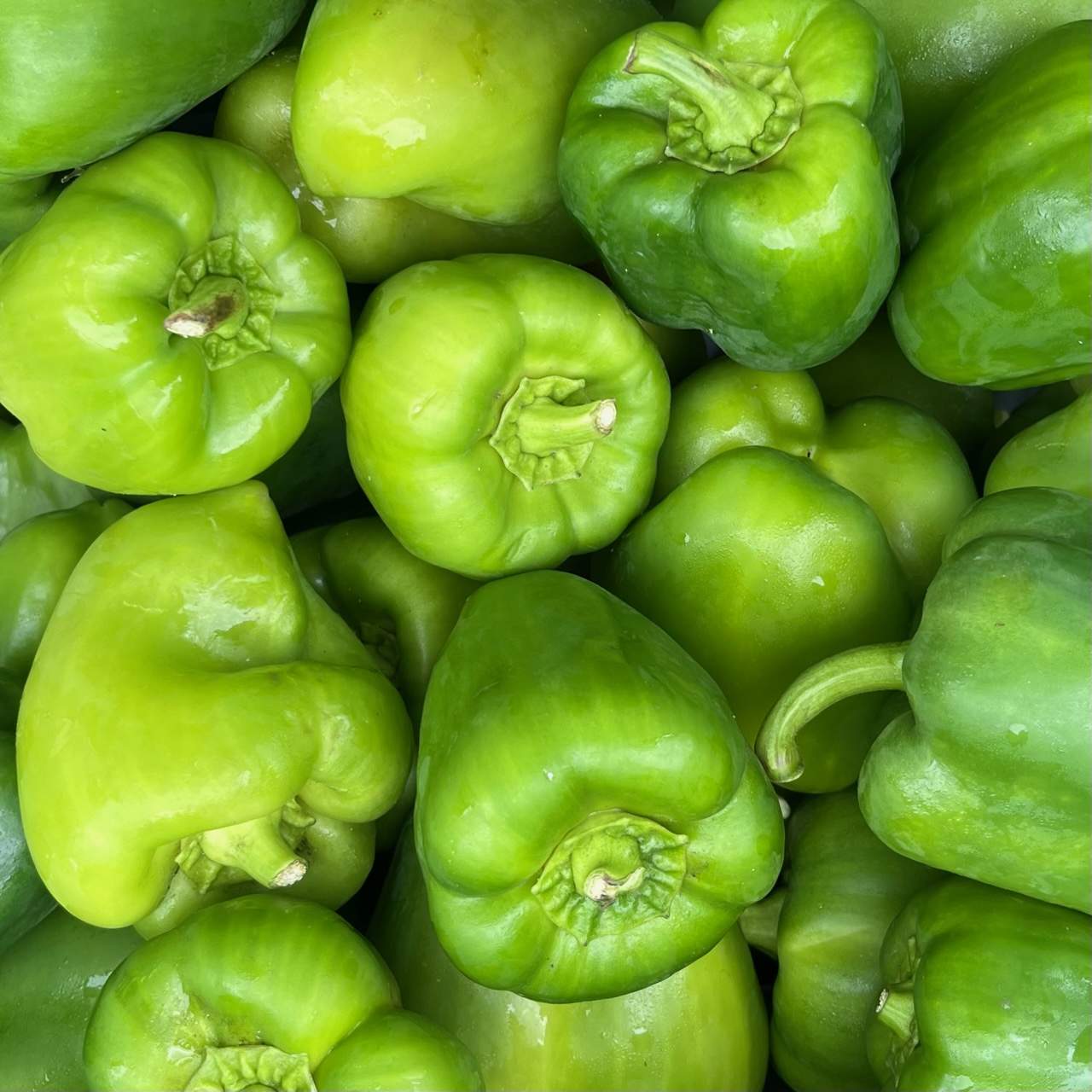 Paprika grün