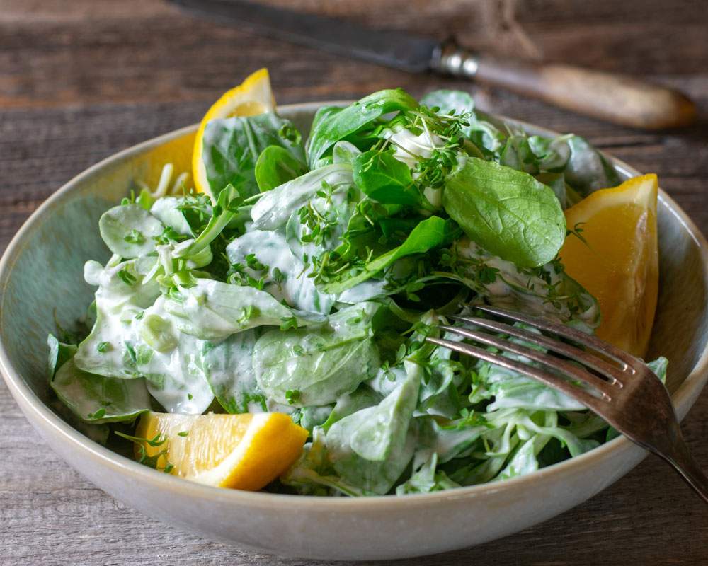Kopfsalat mit grünem Paprika und Käse