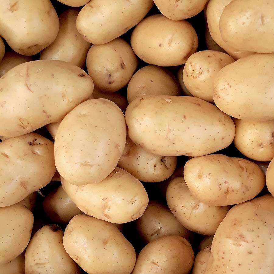 Gourmetkartoffeln Risolée