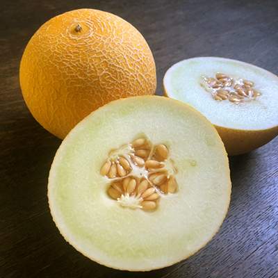 Melone Galia