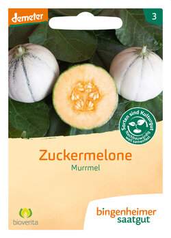 Zuckermelone Murrmel (Saatgut)