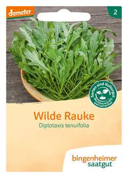 Wilde Rauke (Saatgut)