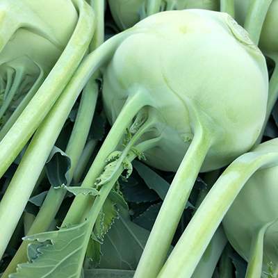 Kohlrabi
