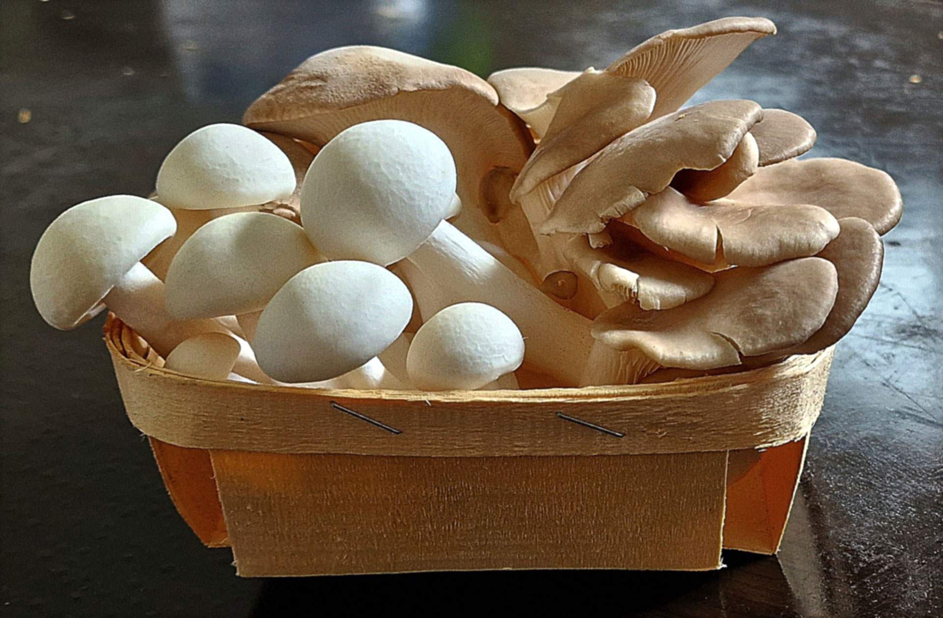 dirks-bio-kiste-slider-pilzkoerbchen.jpg