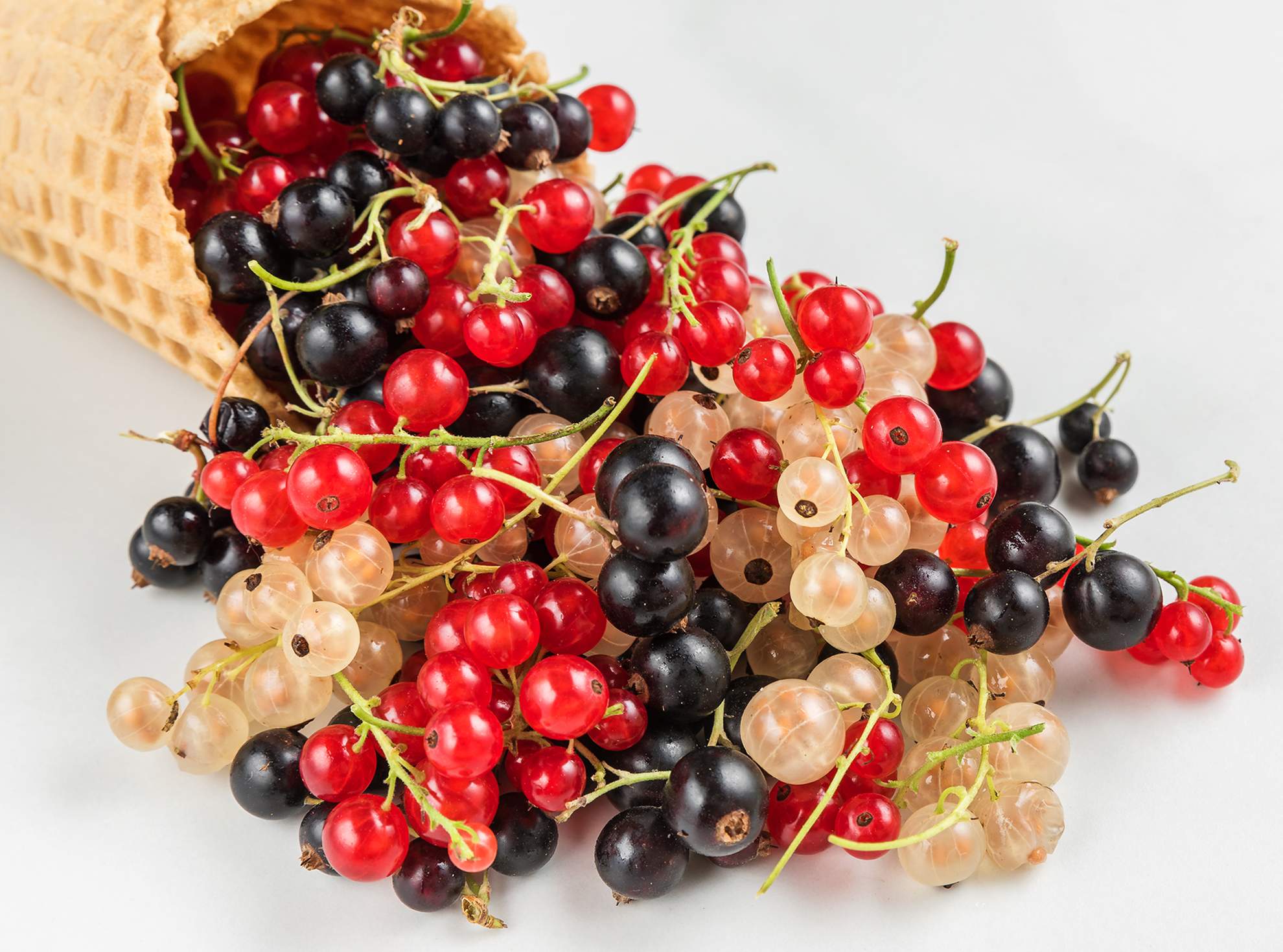 dirks-bio-kiste-slider-johannisbeeren-gemischt-l.jpg