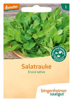 Rucola (Saatgut)