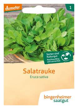 Rucola (Saatgut)