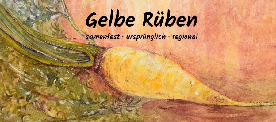 dbk-gelbe_rueben.jpg