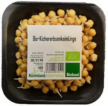 Kichererbsenkeimlinge