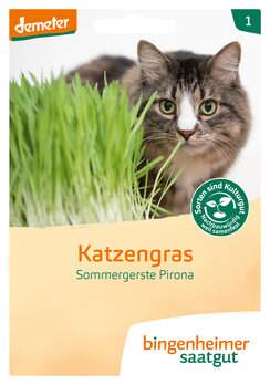 Katzengras (Saatgut)