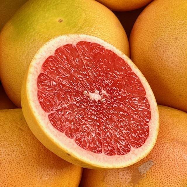 Grapefruit rot