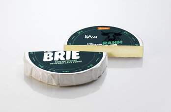 Torten-Brie