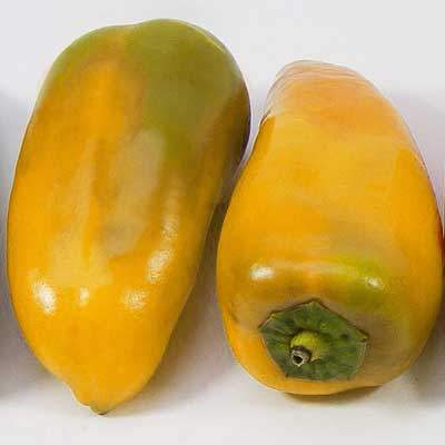 Paprika gelb spitz