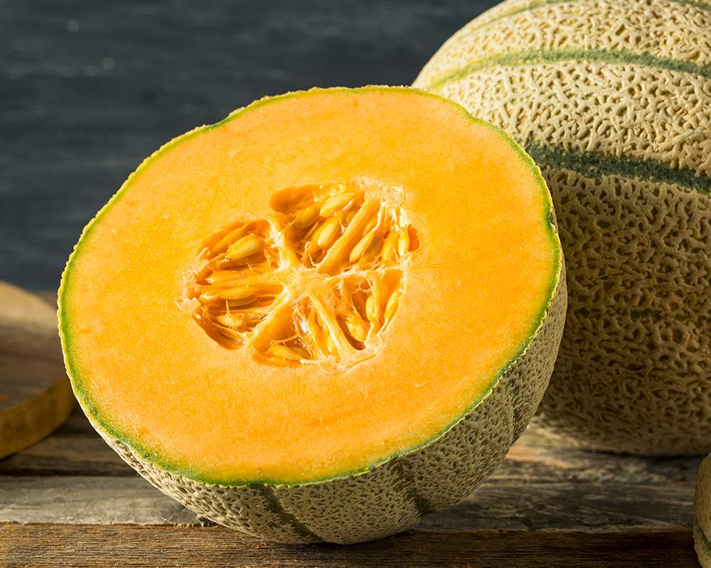 Melone mit Nektarinencreme