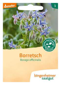 Borretsch (Saatgut)