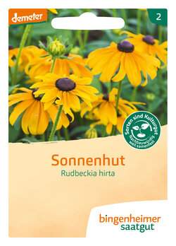 Sonnenhut Rudbeckia hirta (Saatgut)