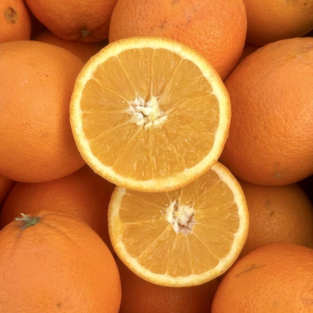 Orangen