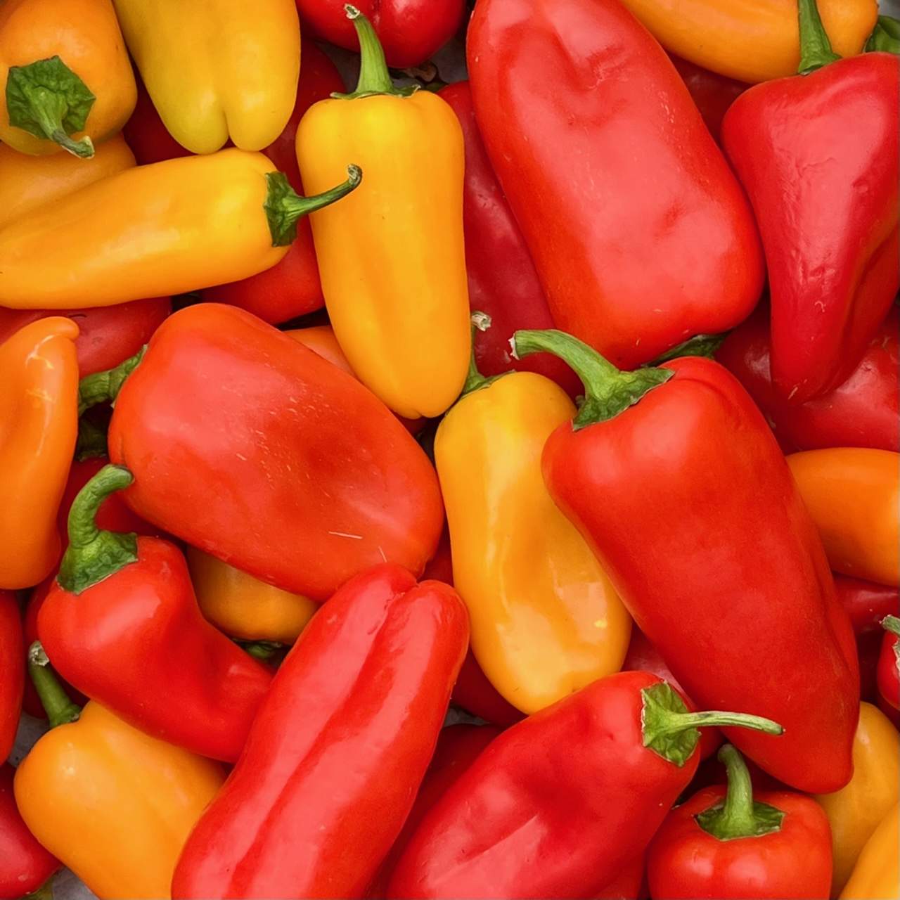 Snack Paprika