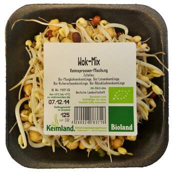 Wok-Mix