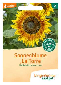 Sonnenblume La Torre (Saatgut)