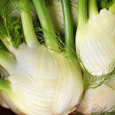 Fenchel