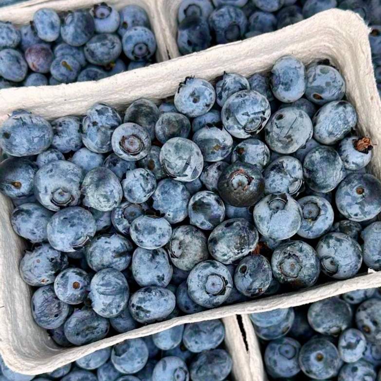 Heidelbeeren 125 g Schale