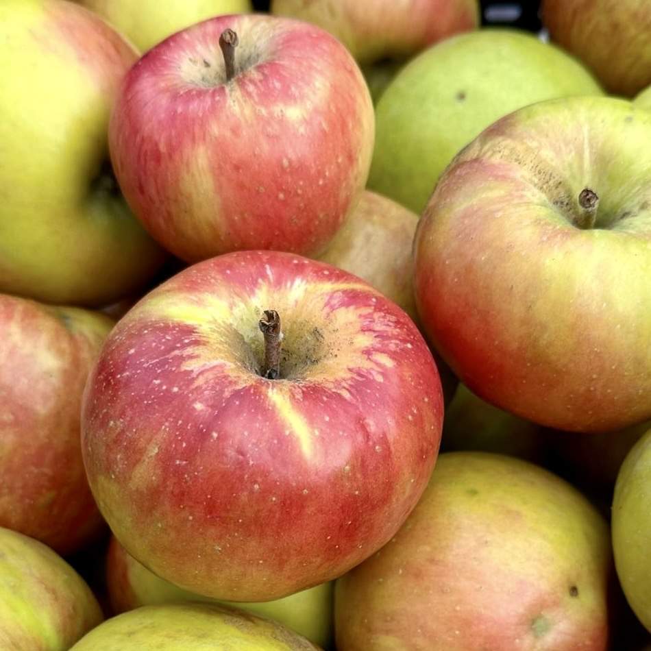 Äpfel Topaz