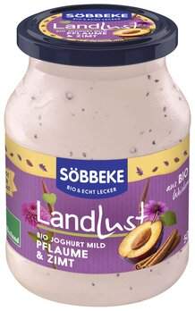 Saisonjoghurt Pflaume-Zimt