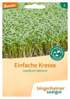Kresse (Saatgut)