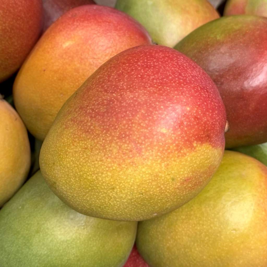 Mango