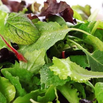 Schnittsalat Babyleaf
