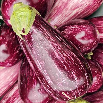 Aubergine Graffiti