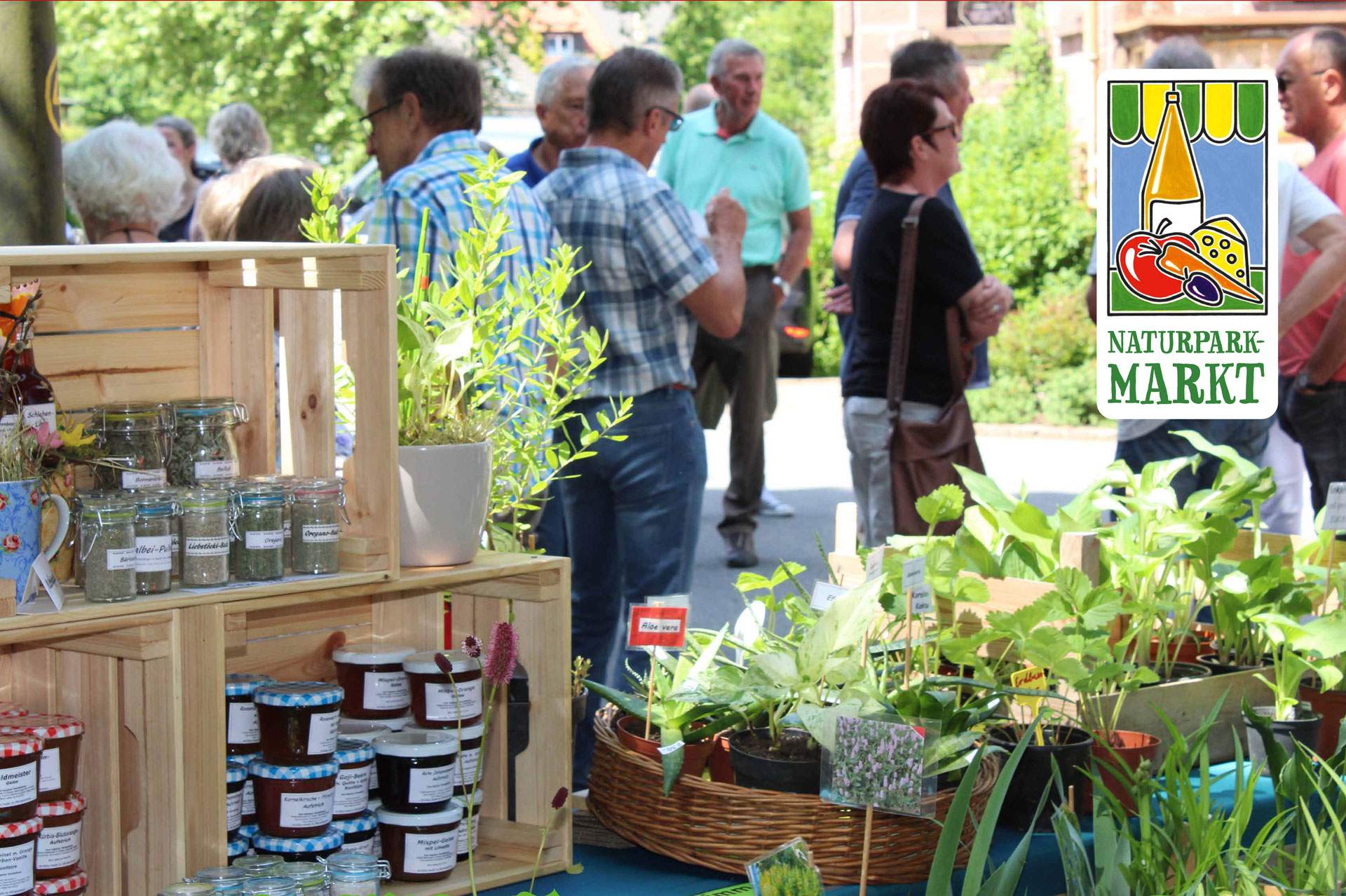 dirks-bio-kiste-naturparkmarkt-mauer-1.jpg