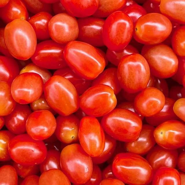 Datterino Cherrytomaten