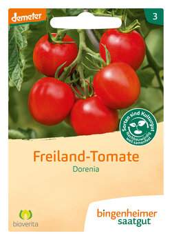 Freiland Tomate (Saatgut)