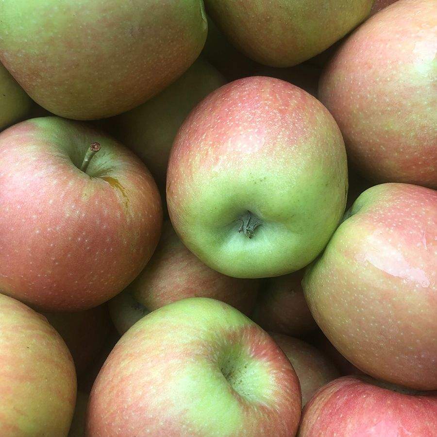 Äpfel Delbar Estivale