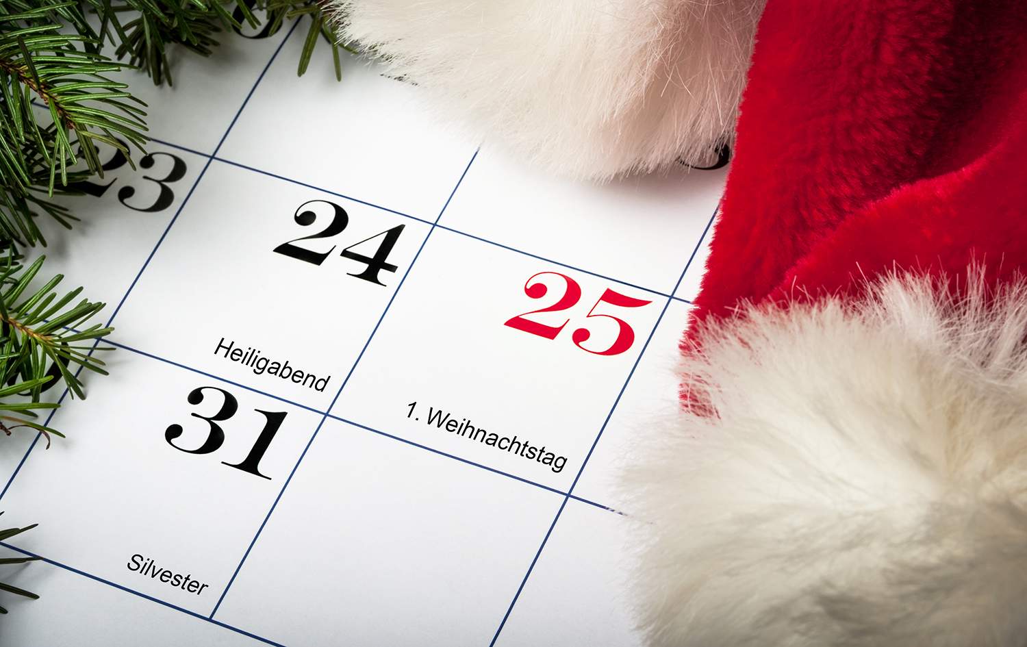 dirks-bio-kiste-weihnachtsfahrplan.jpg