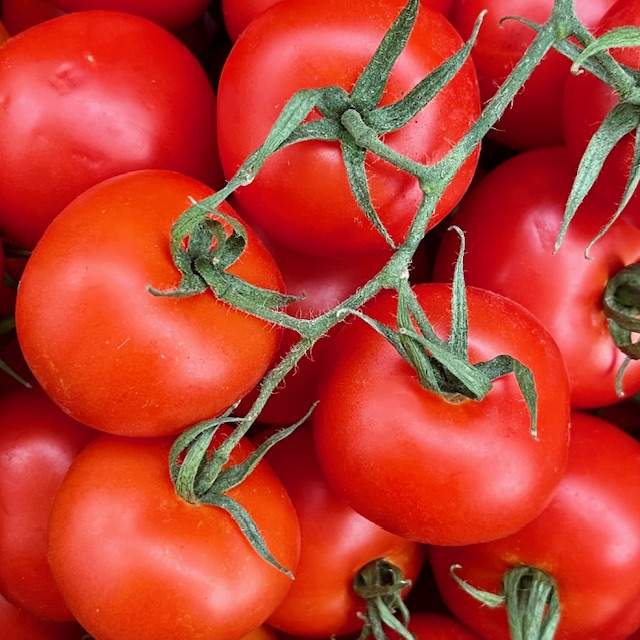 Tomaten