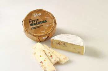 Petit Brie Walnuss