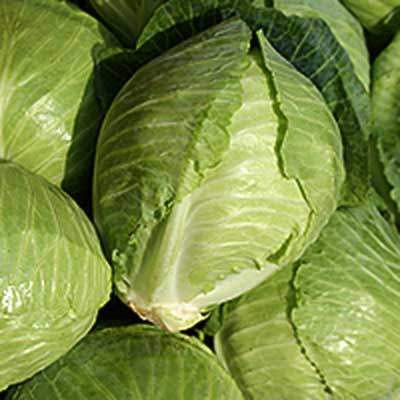 Weißkohl