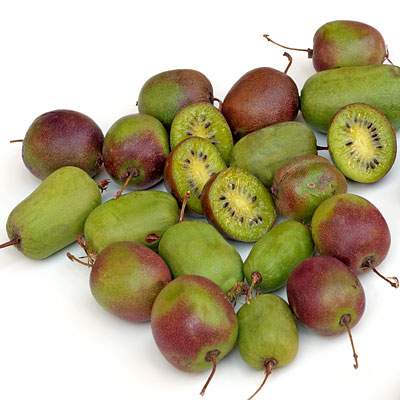 Kiwi Weiki 125 g Schale